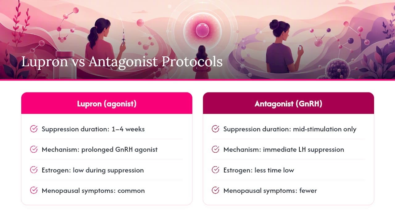 Diagram comparing Lupron agonist and GnRH antagonist protocols