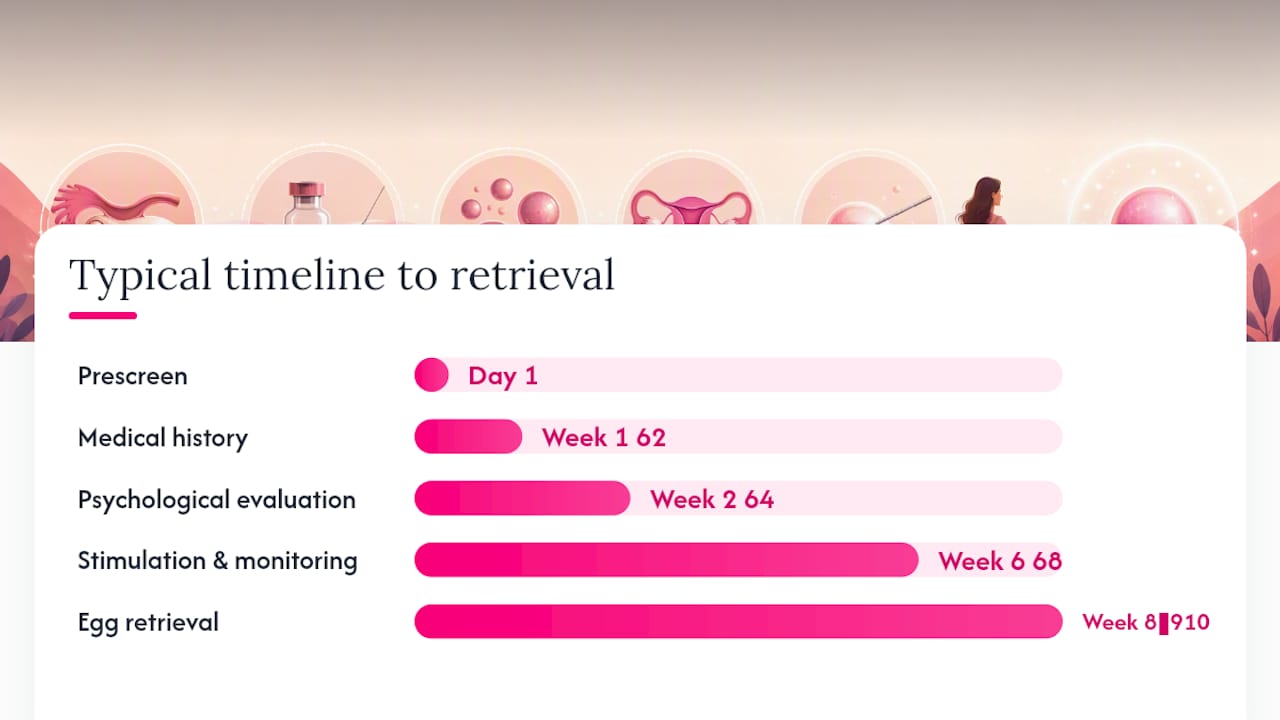 Timeline of egg donation process with visit milestones