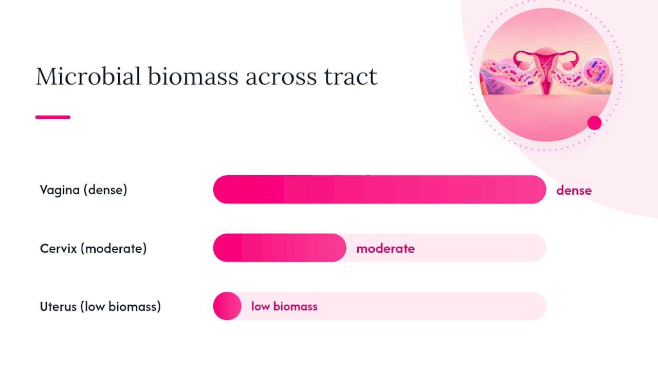 Connected reproductive tract microbiome niches