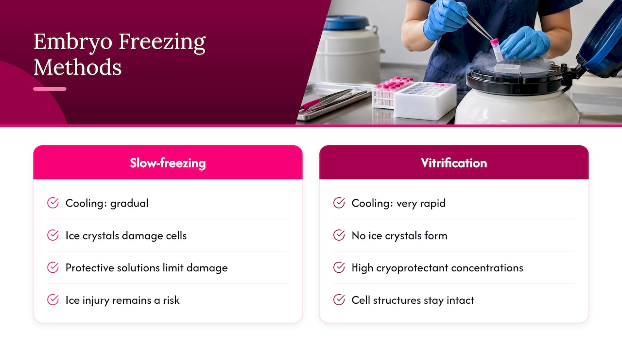 Comparison of slow-freezing and vitrification