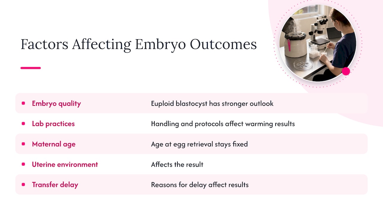 What factors influence embryo outcomes over time? — overview diagram